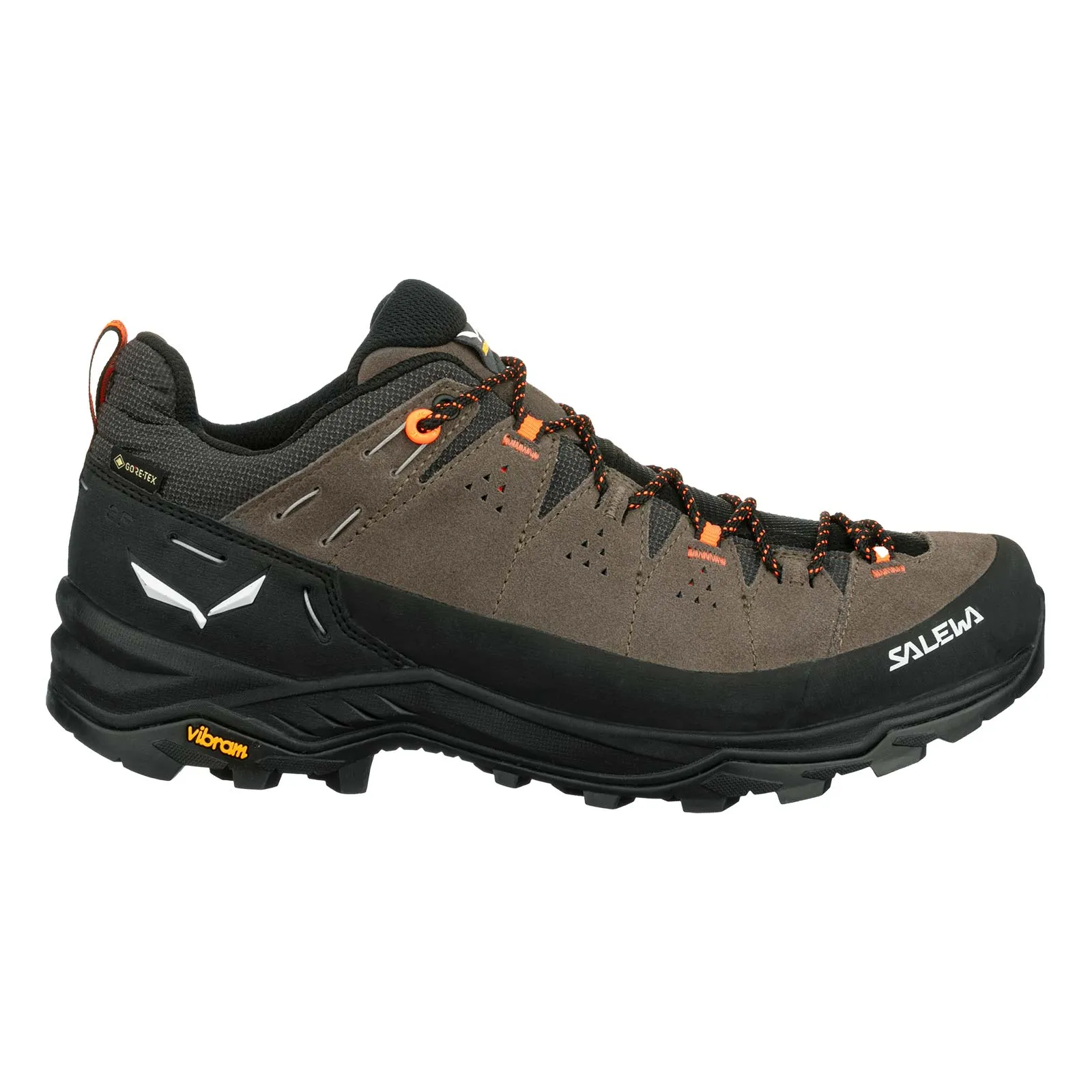 Salewa Mens Alp Trainer 2 GORE-TEX  Walking Shoe